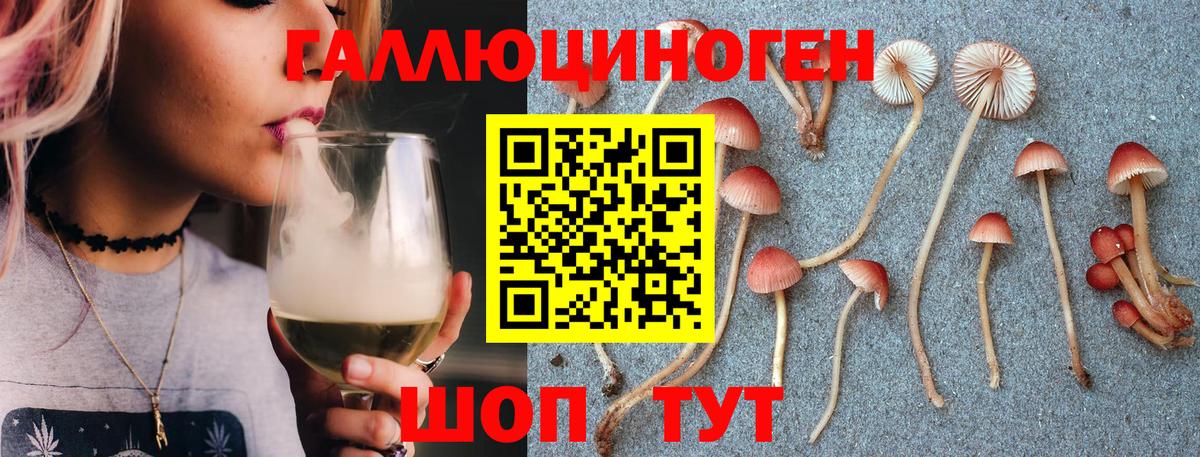 Воронеж  Галлюциногенные грибы Cubensis  Вход с VPN 